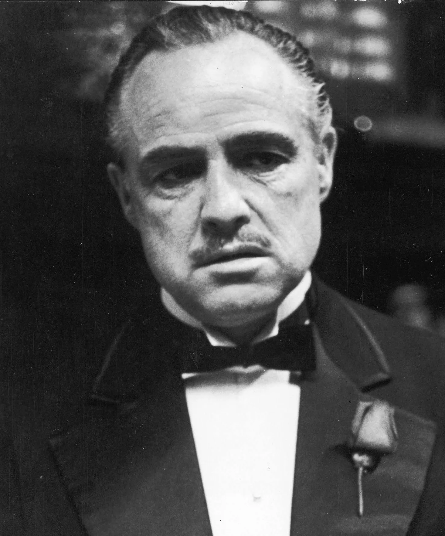 Marlon Brando as the Godfather